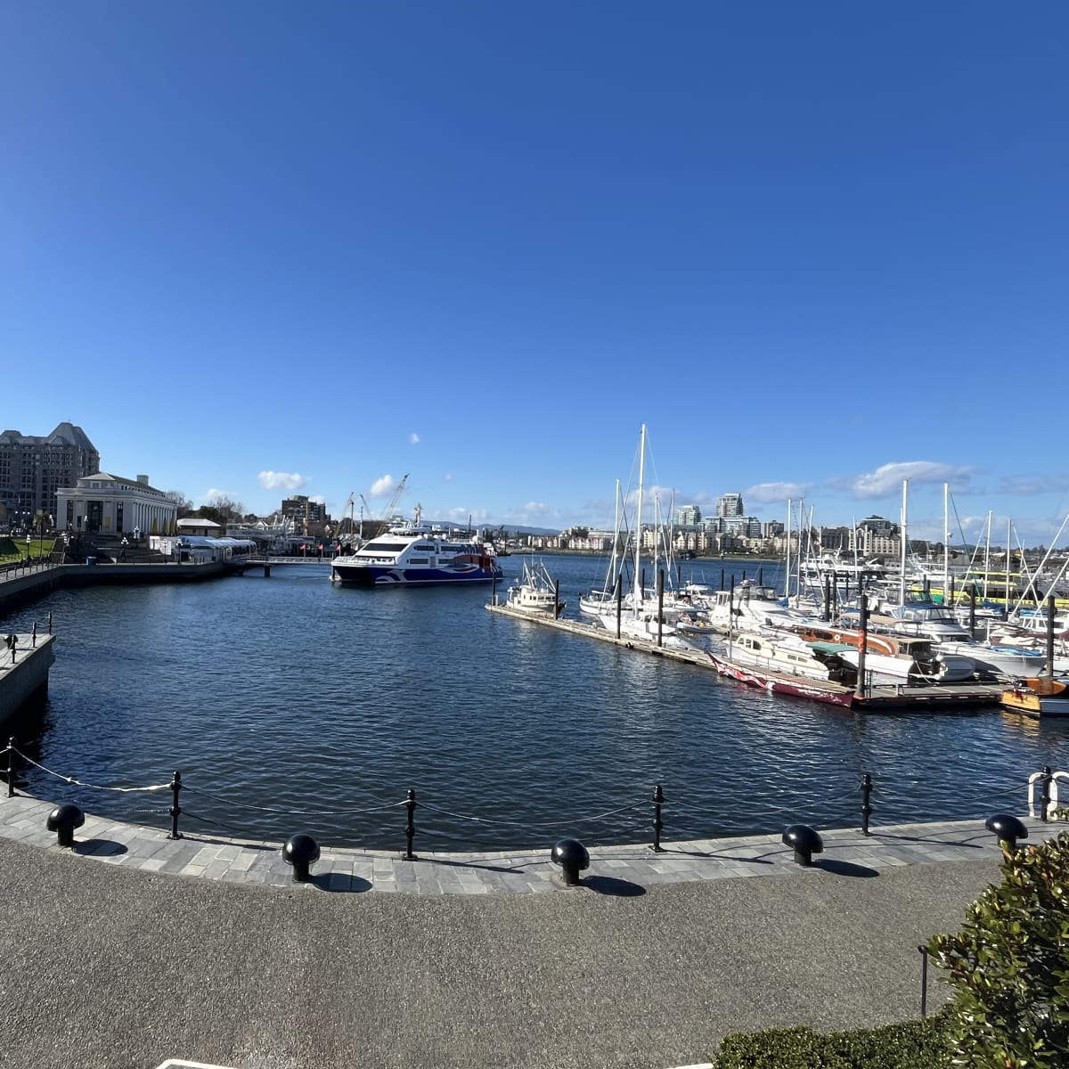 The Victoria Clipper Arrives in Victoria's Inner Harbor
