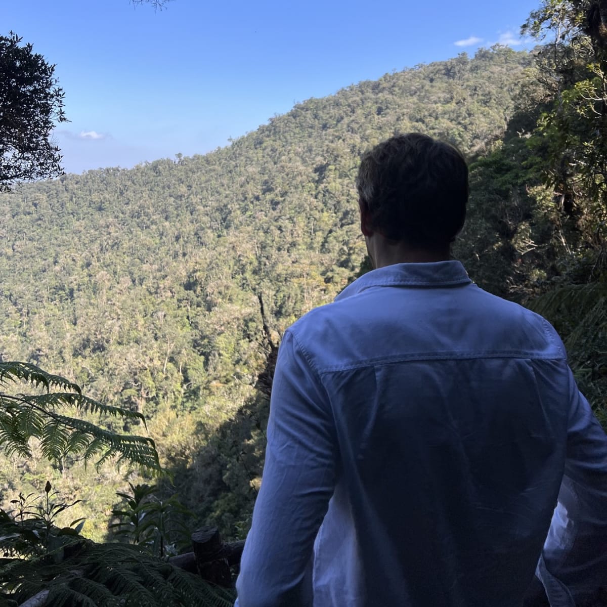 Trip Image