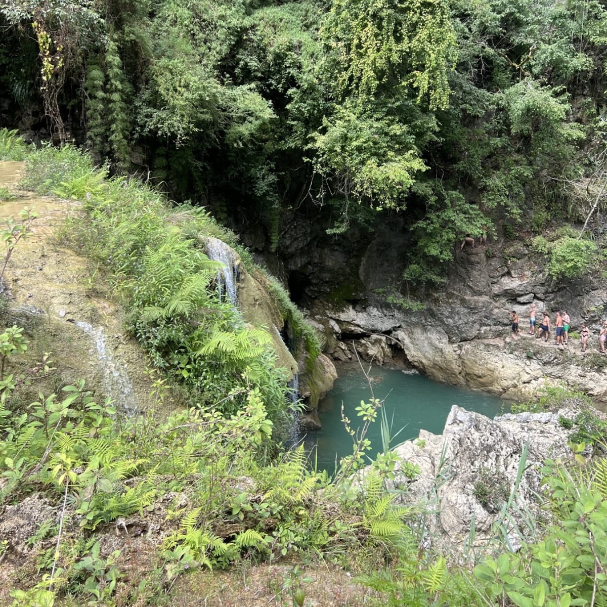 Trip Image