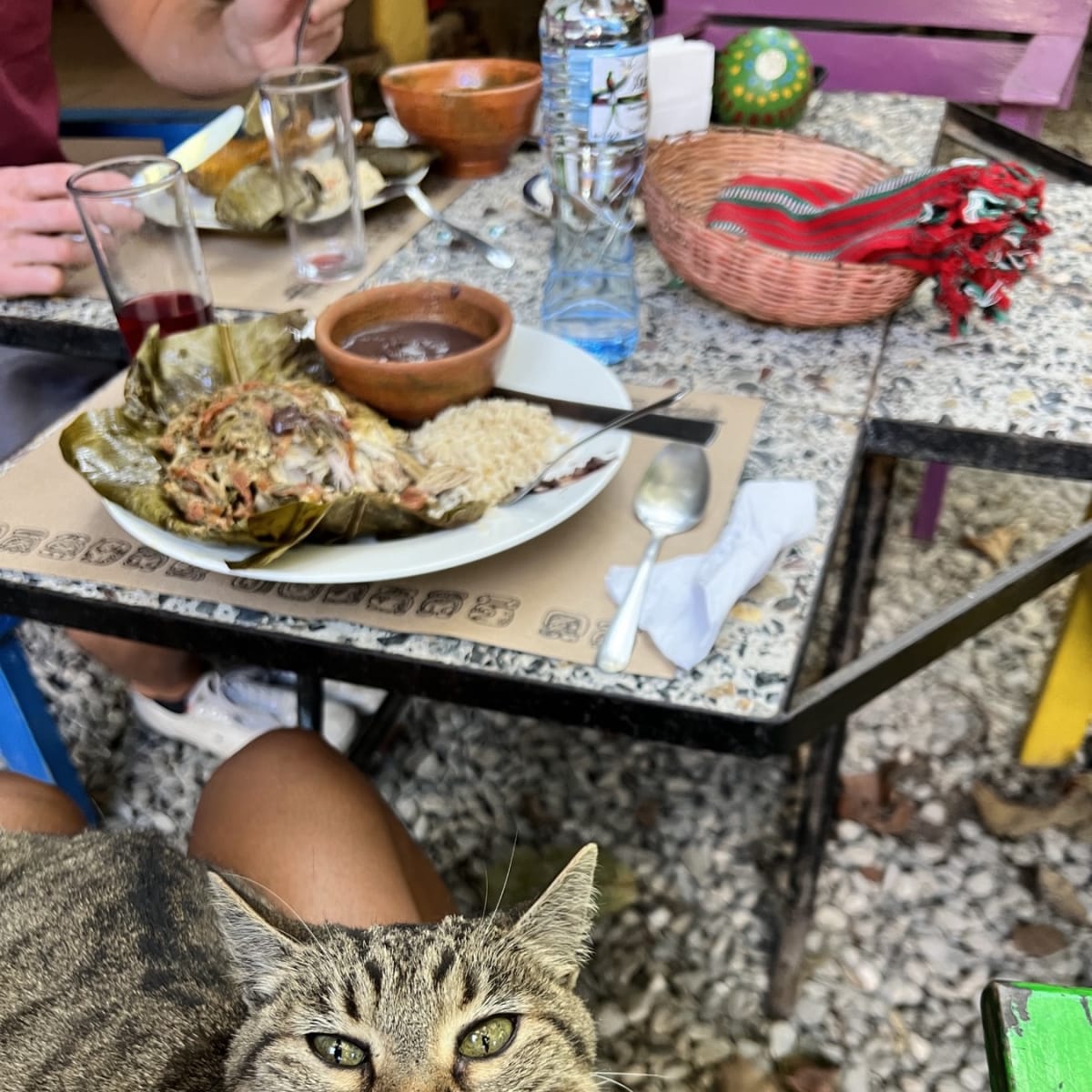 Trip Image