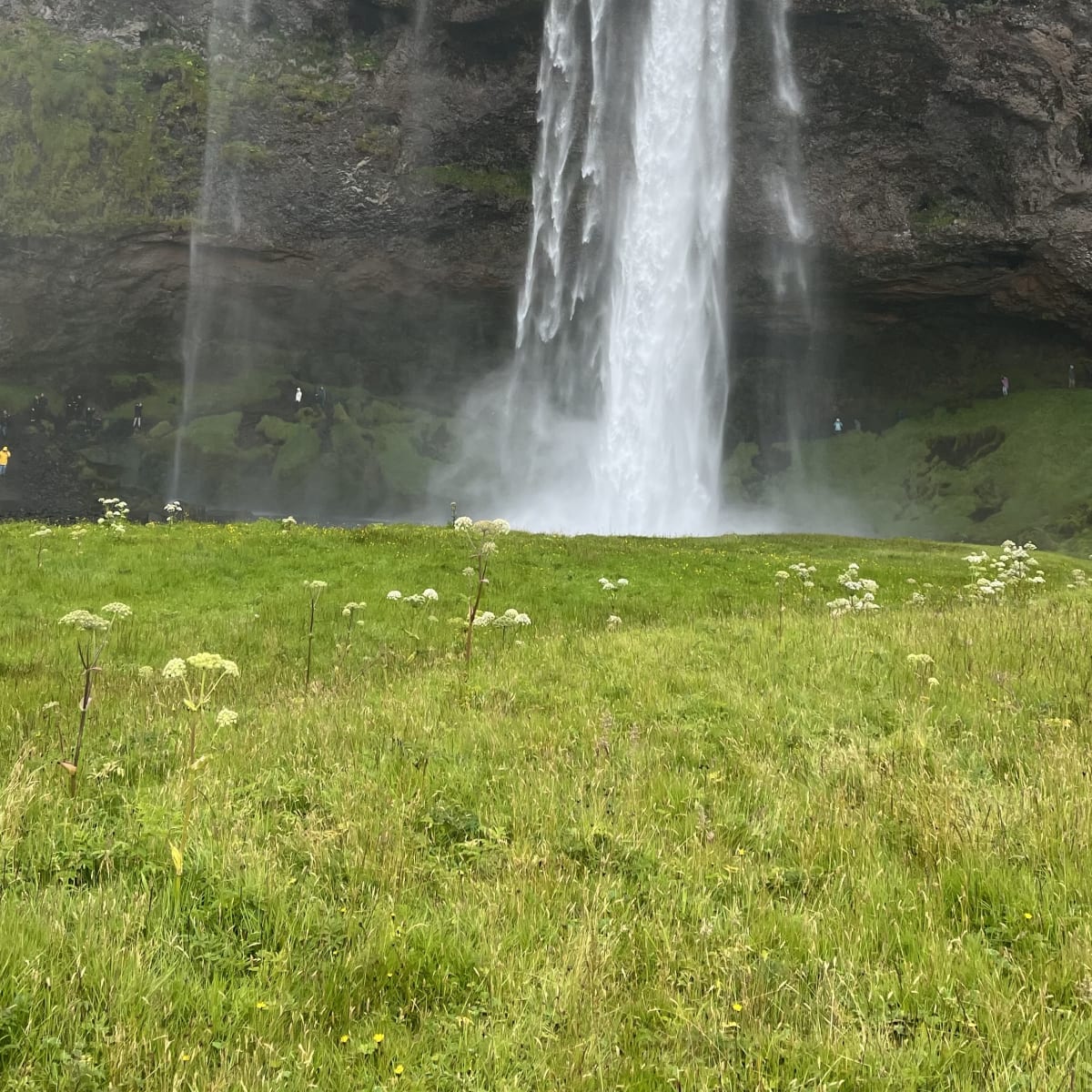 Seljalandsfoss
