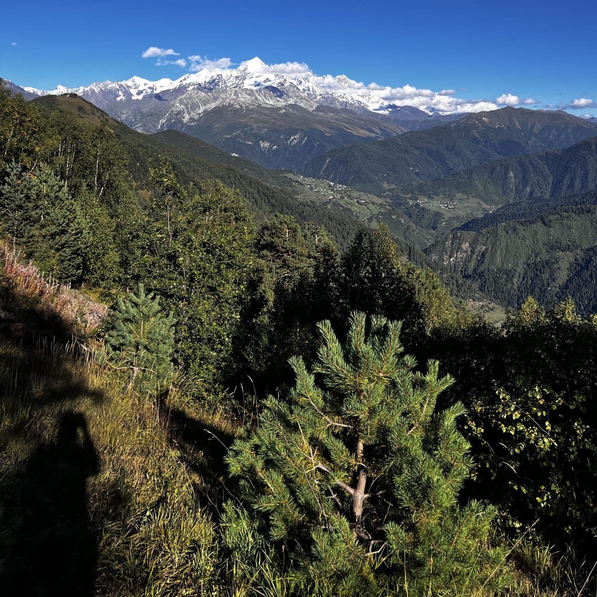 Mount Tetnuldi