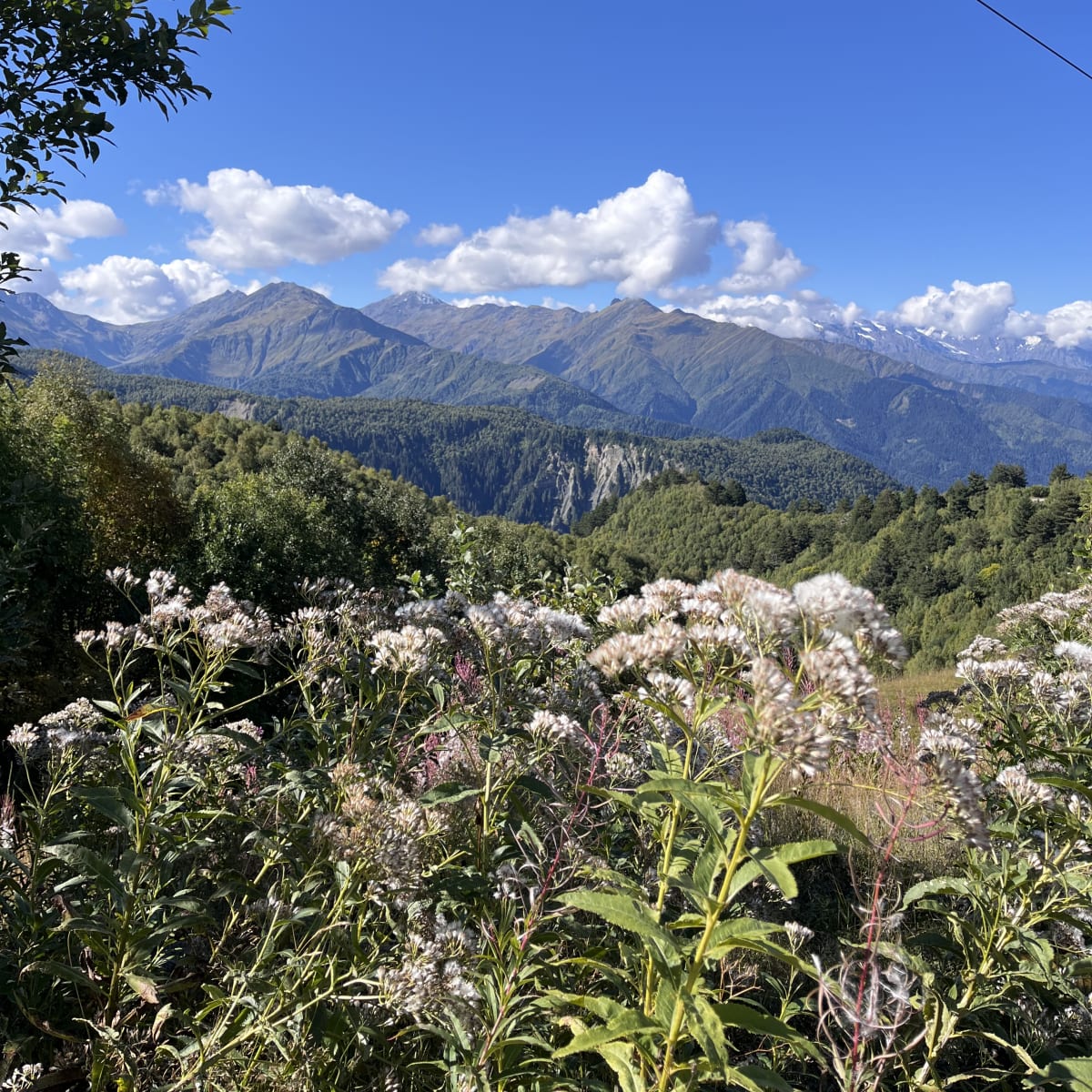 Hike to Adishi