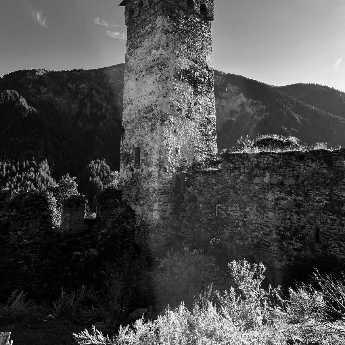 Svan Tower