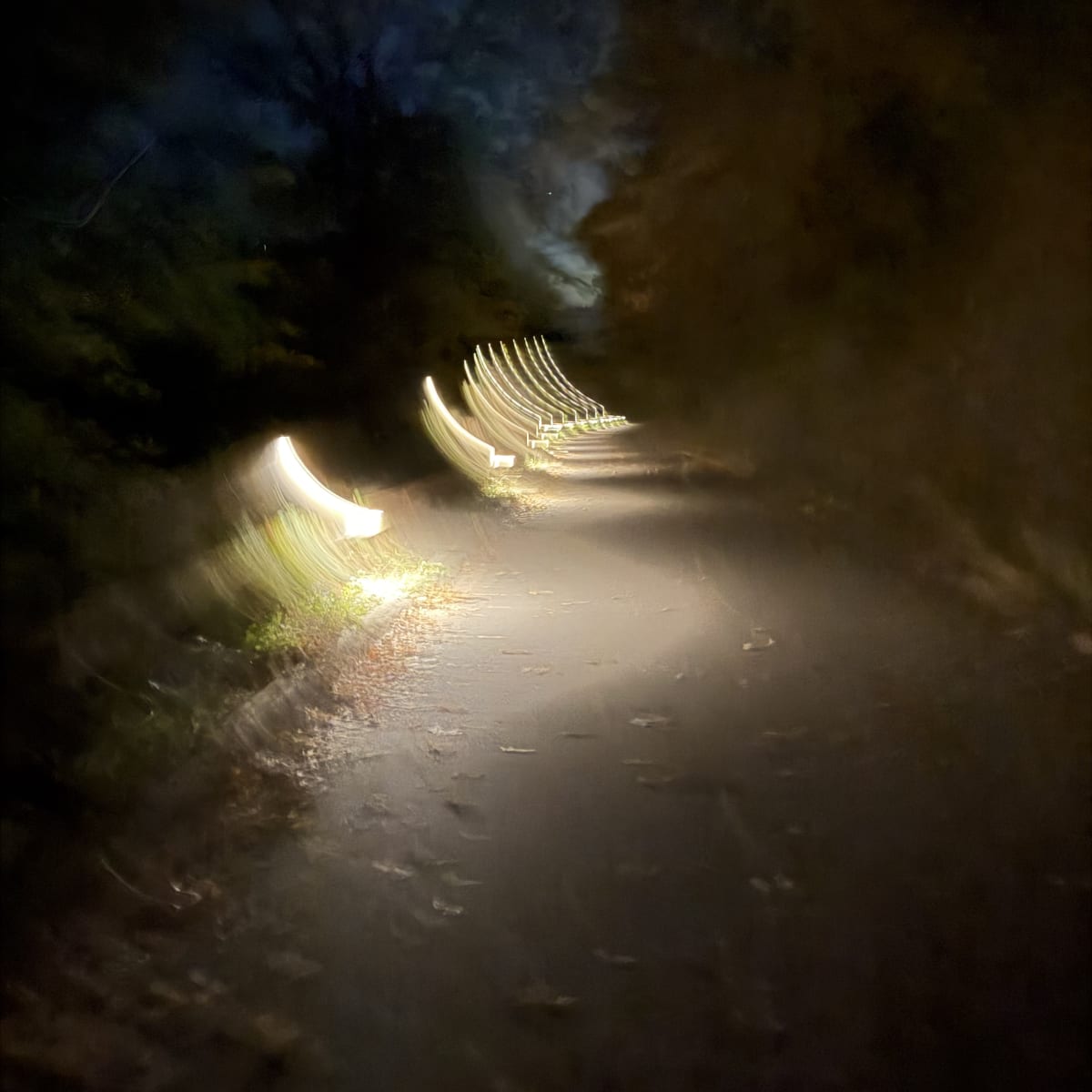 Trip Image