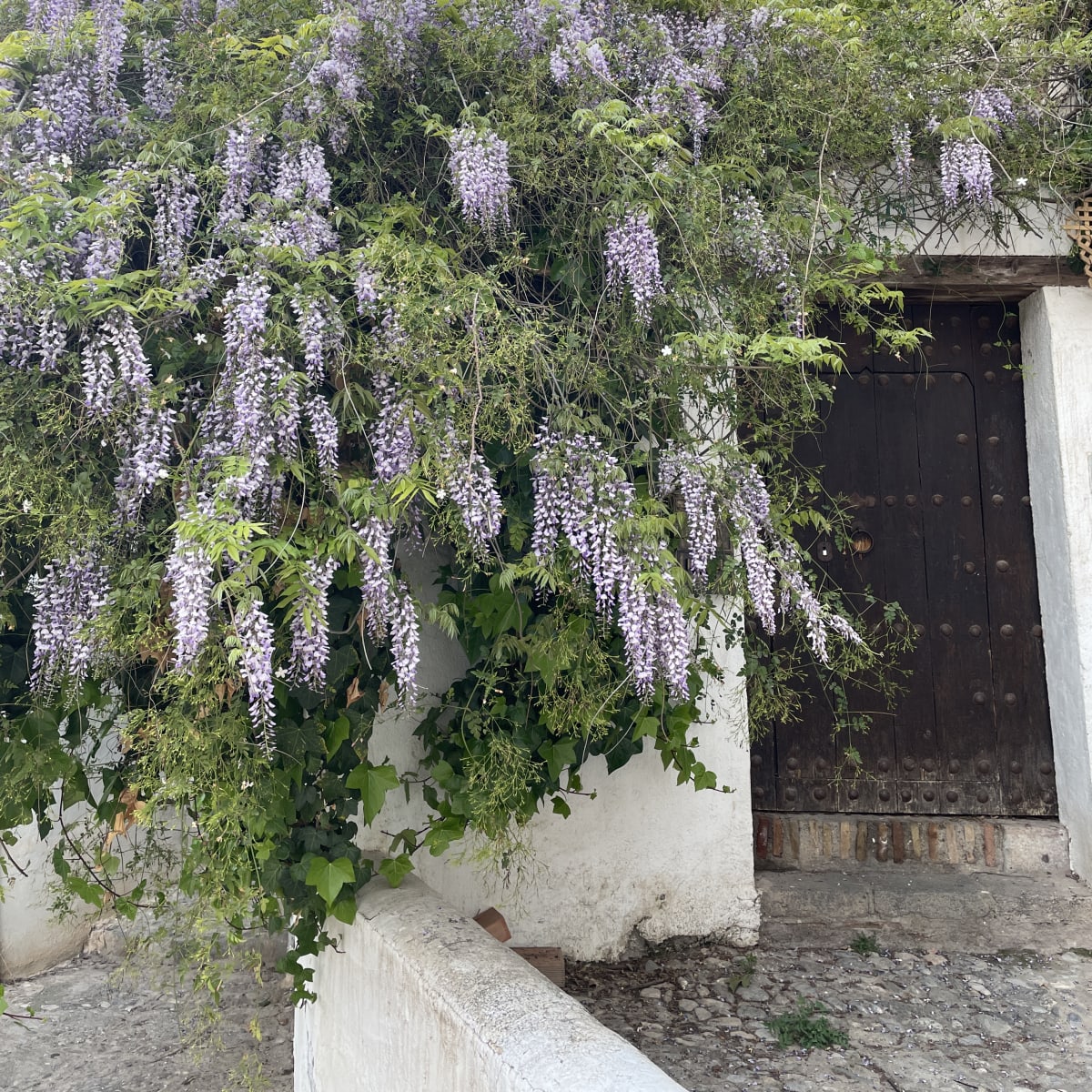 Granada - Albaicín neighborhood