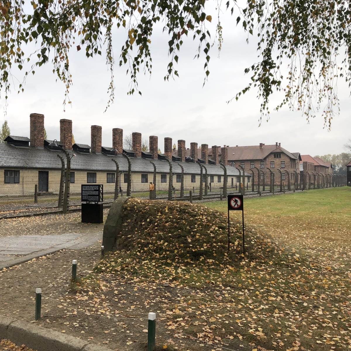 Auschwitz-Birkenau