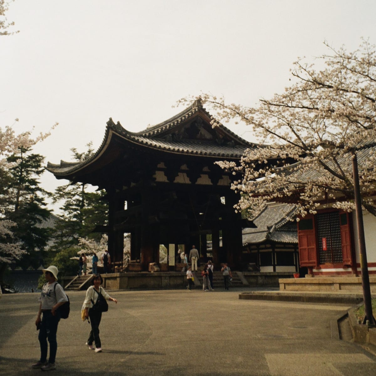 Trip Image