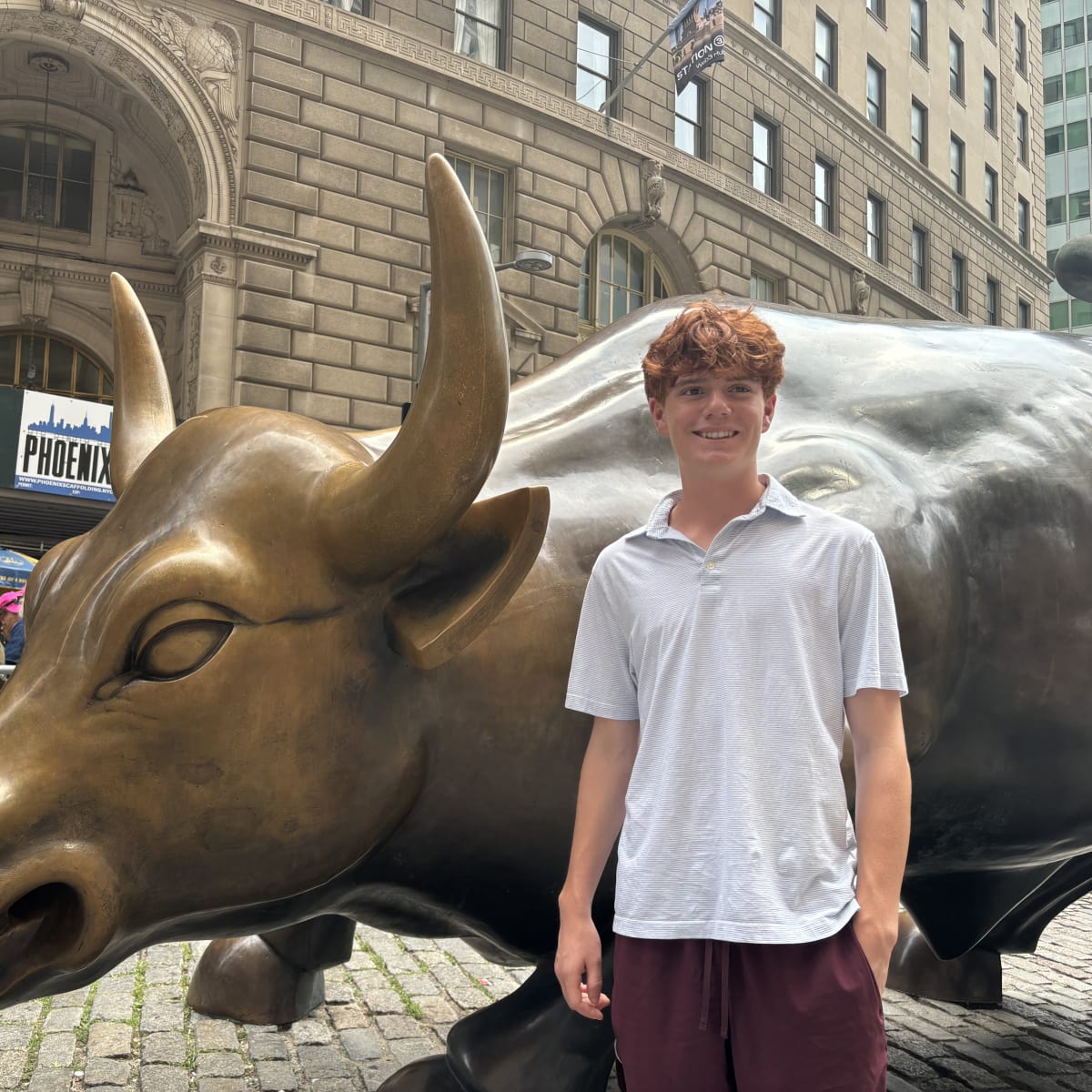 The Charging Bull