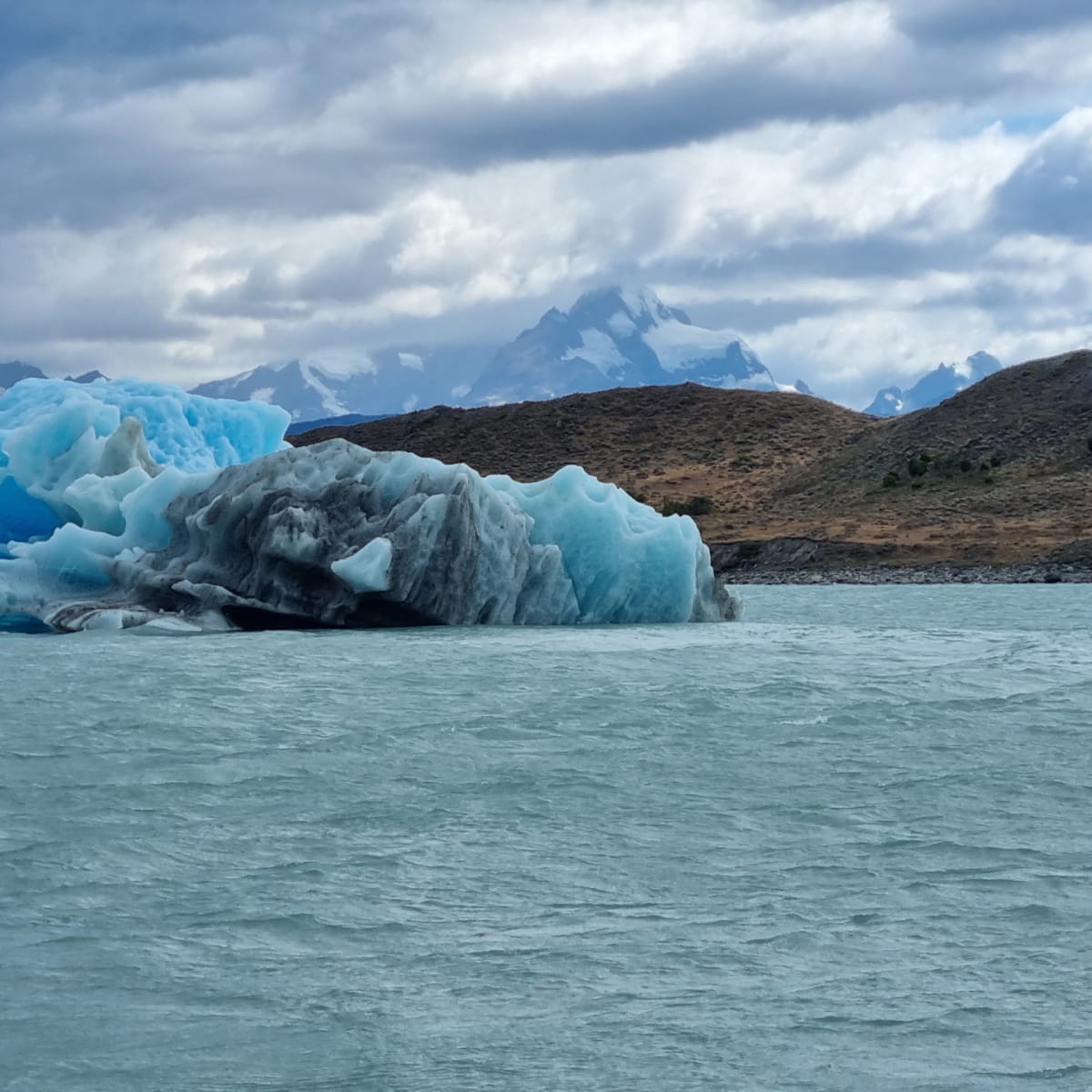 Icebergs!