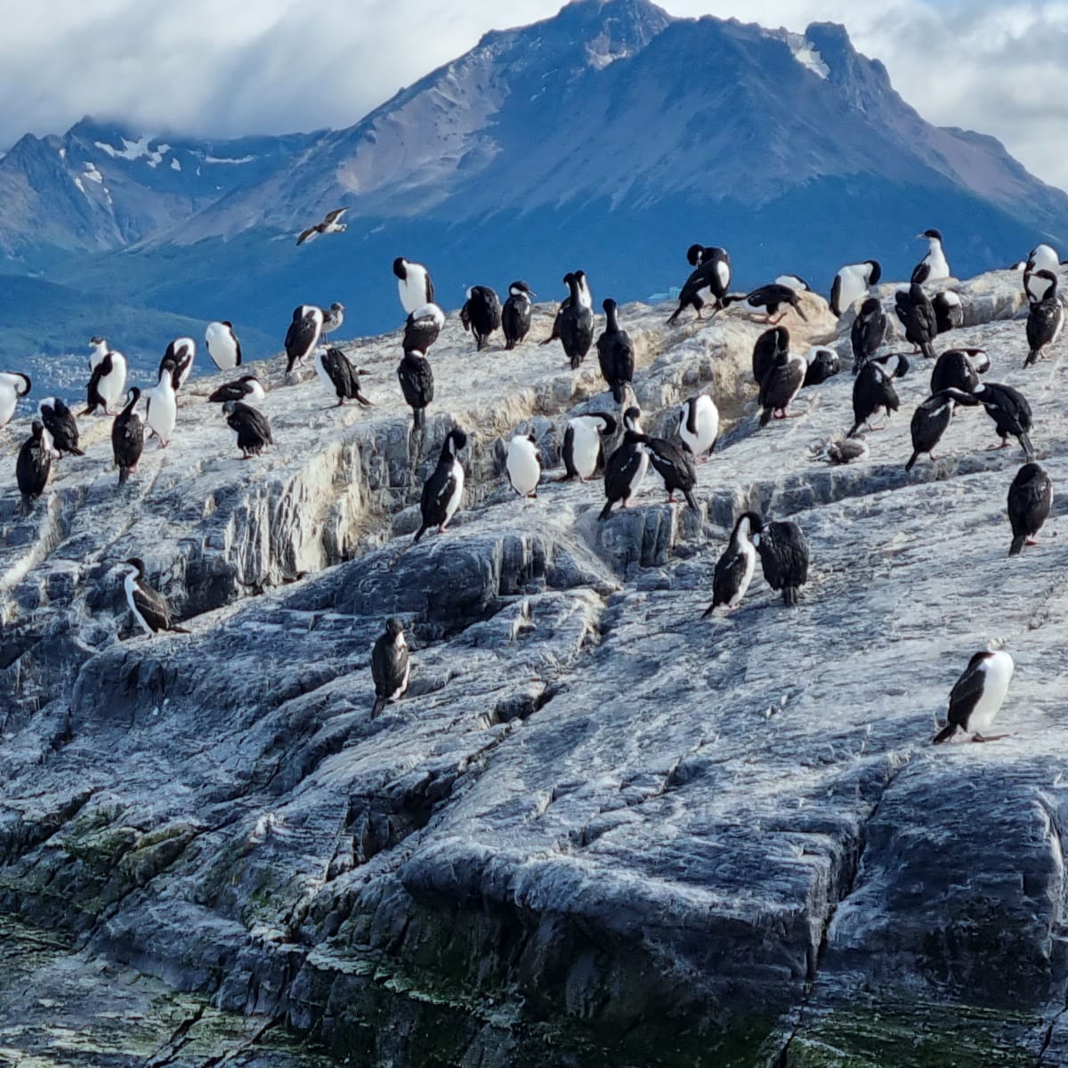 Isla de Lobos y Pájaros