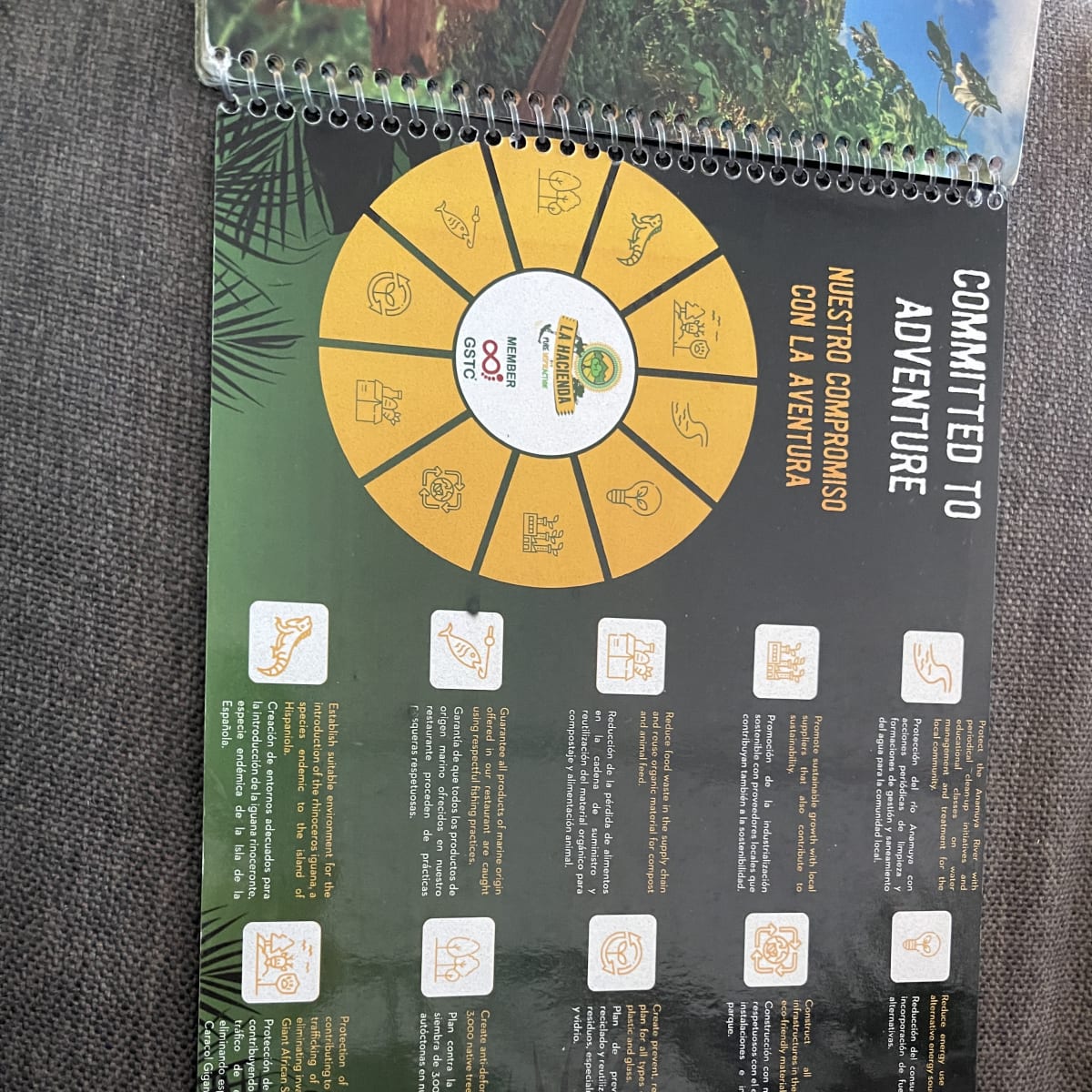 Book from the excursion we booked!
