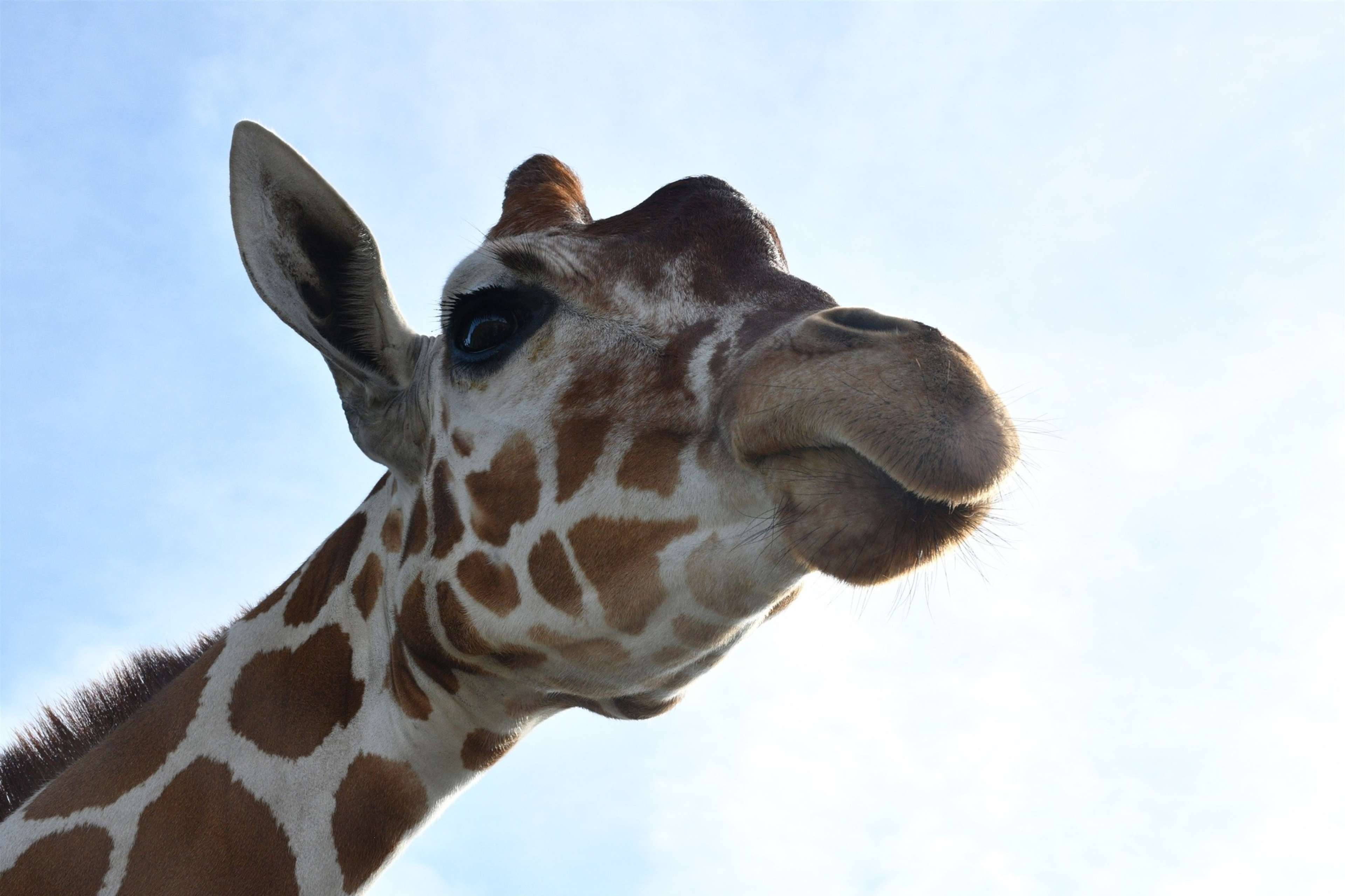 Christmas Expedition in Tampa Bay