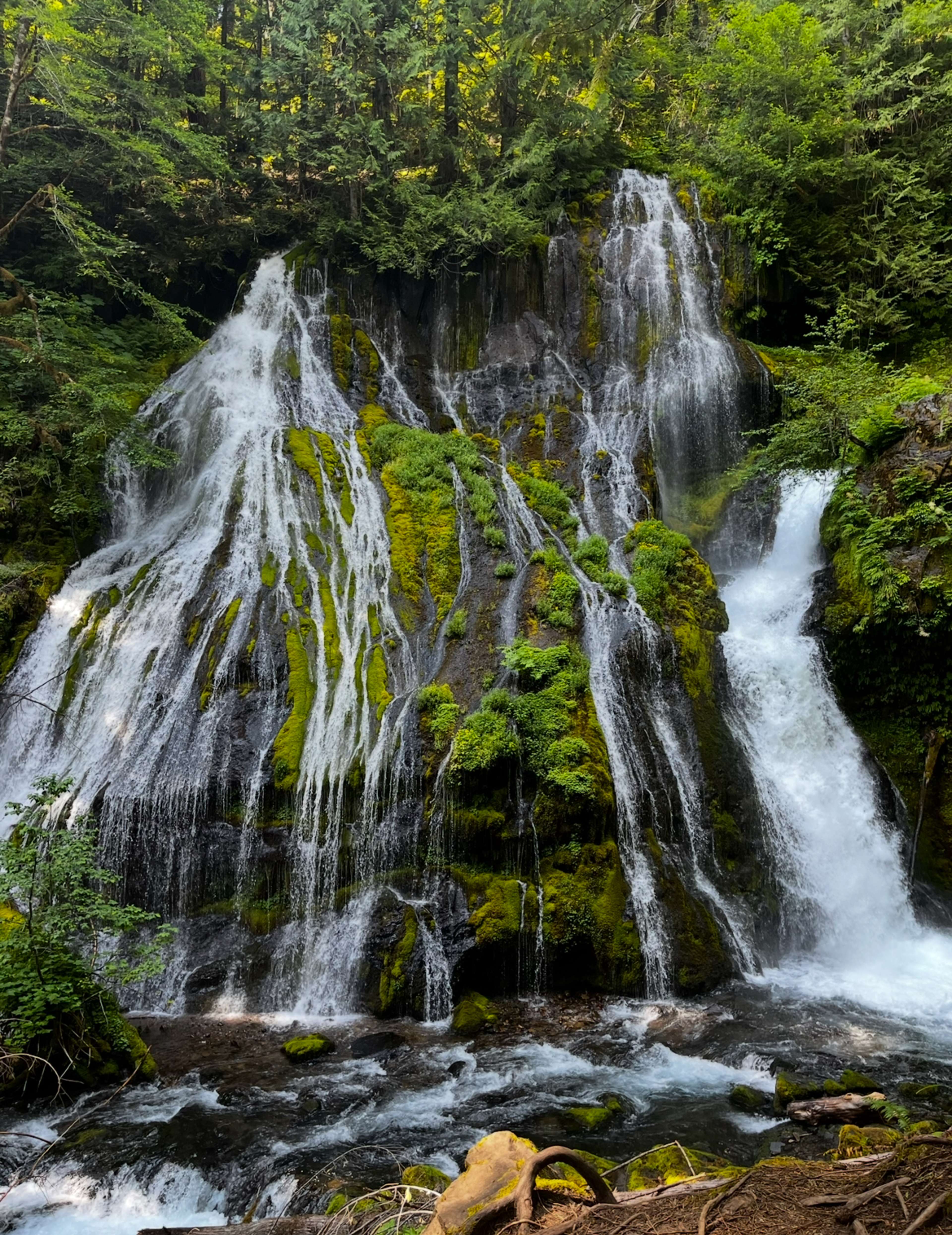 Panther Creek Falls and Hot Spring Resort!