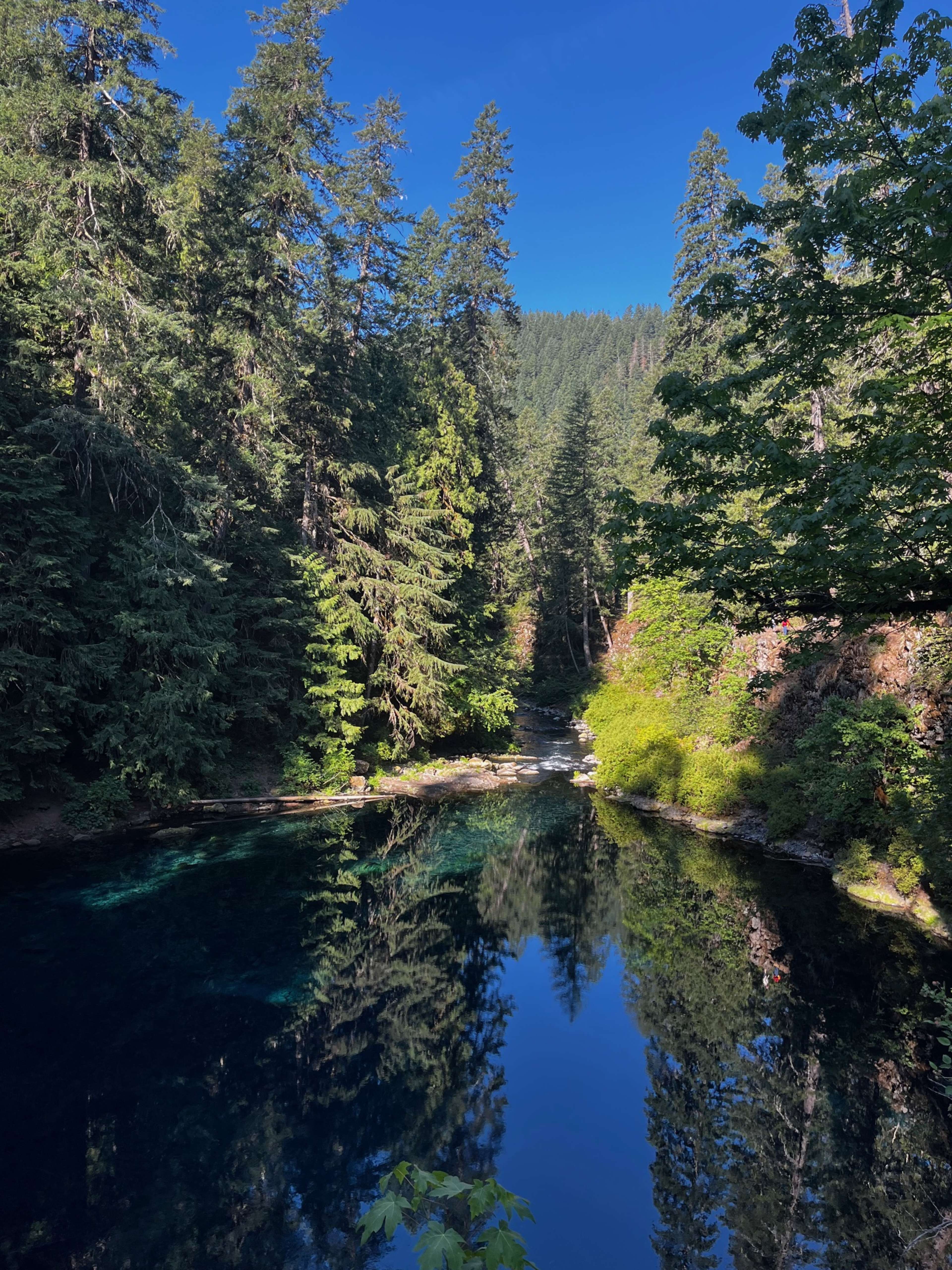 Tamolitch Falls Blue Pool