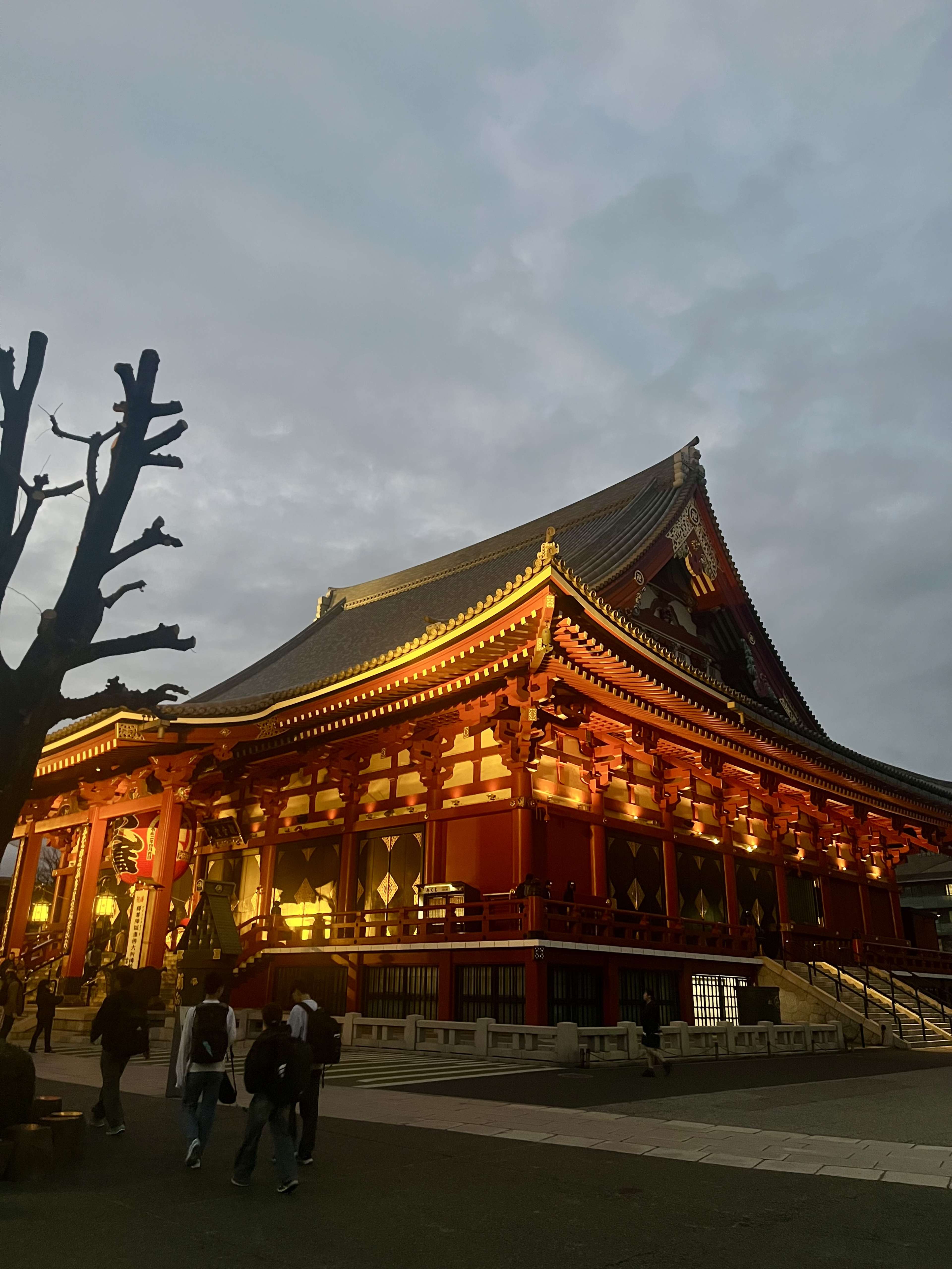 4 Days in Tokyo