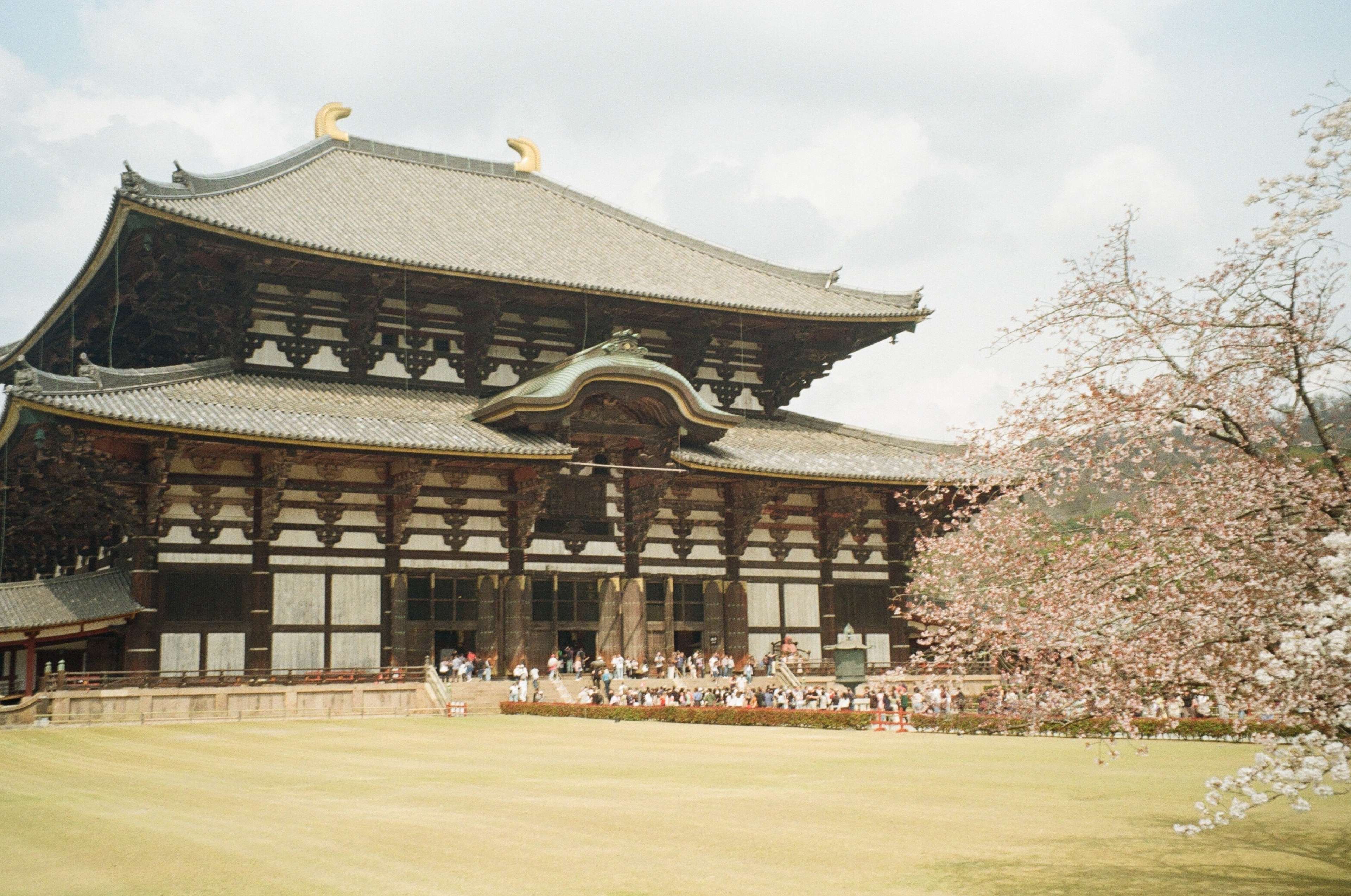 Two weeks in Japan!