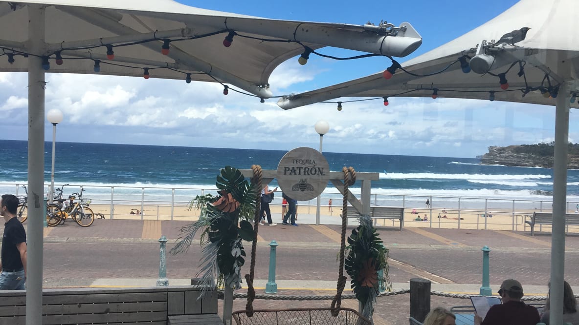 Lunch Views from Glory Days Beach Bar