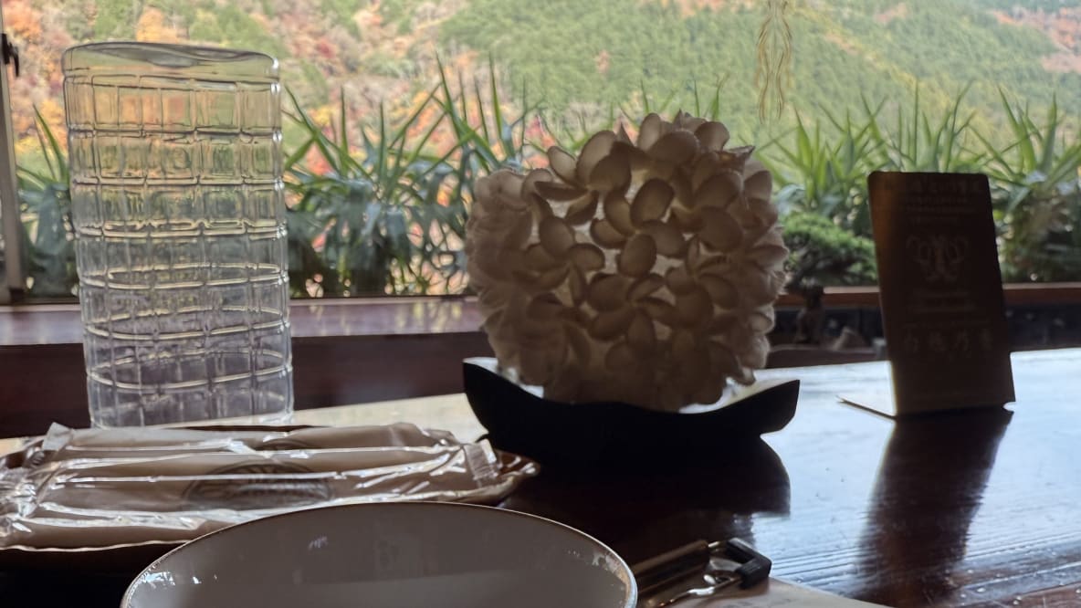 Day 11 · Hakone