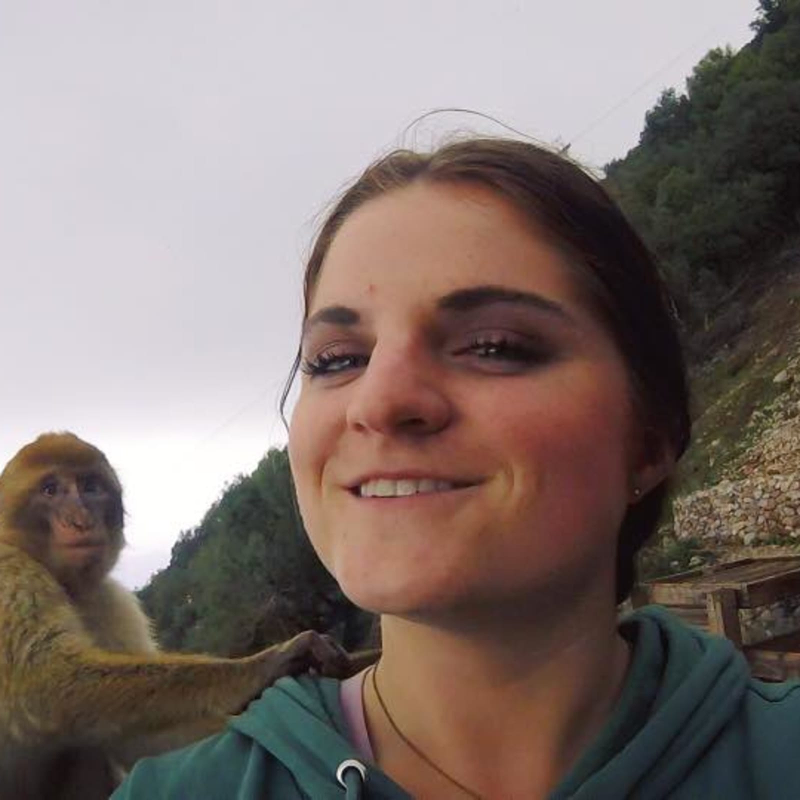Tapas & Monkeys - 3 Days in Seville & Gibraltar