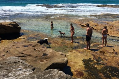 Coastline along the Bondi to Bronte Coastal trail