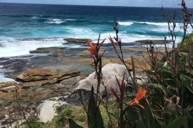 Coastline long the Bondi to Bronte Coastal trail