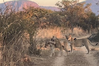 Day 4 · South Africa
