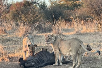 Day 4 · South Africa