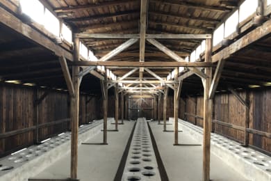 Auschwitz latrines
