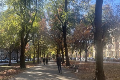 Walk down Commenwealth
