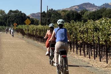 Day 2 · Calistoga