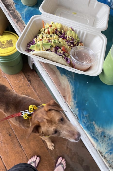 Lunchtime in Koloa