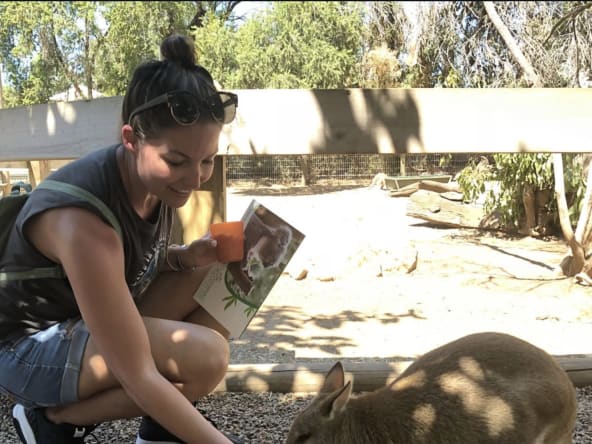 Feeding a kangaroo at Featherdale Wildlife Park