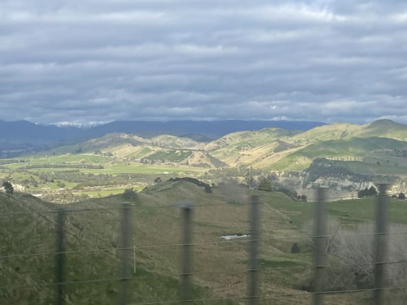 Day 7 · Wellington