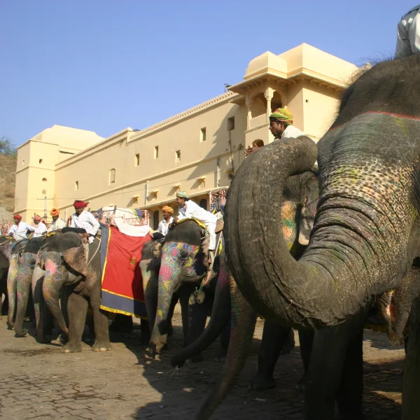 India's Golden Triangle & Beyond