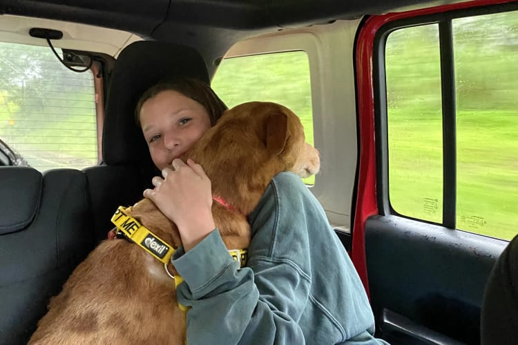 All Animal Shelters Need to Do This - How One Encounter Changed Our Whole Trip image