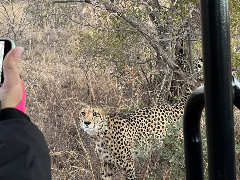 Day 5 · South Africa