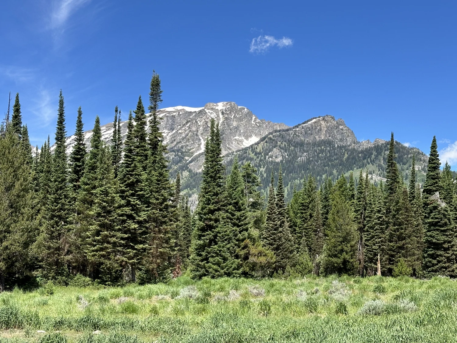 Phelps Lake Trail