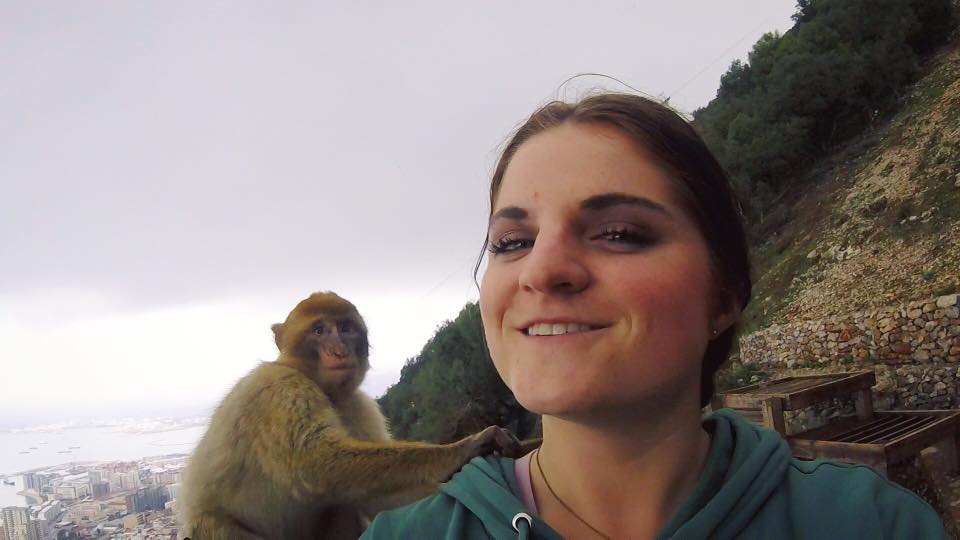 Tapas & Monkeys - 3 Days in Seville & Gibraltar