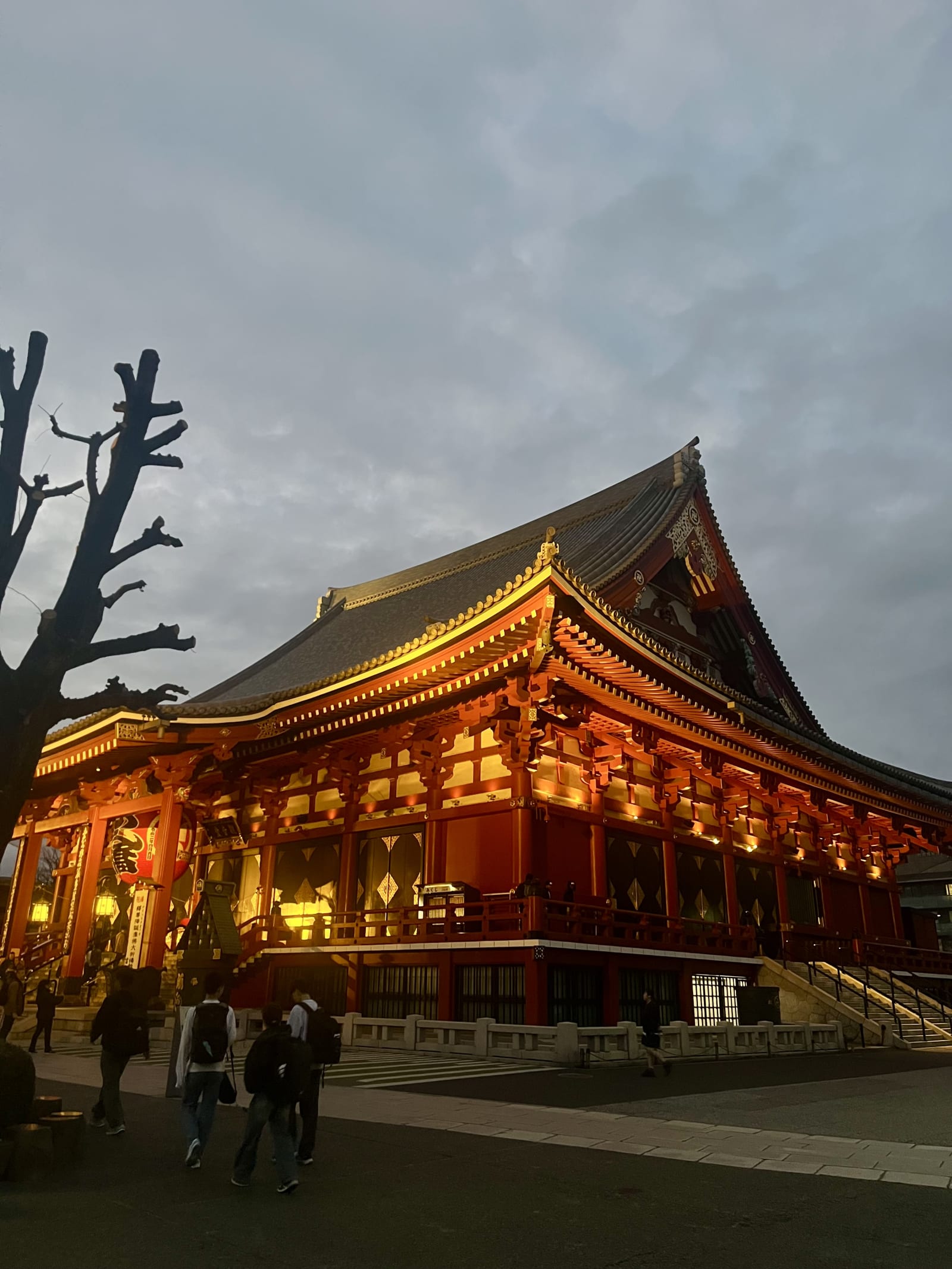 4 Days in Tokyo