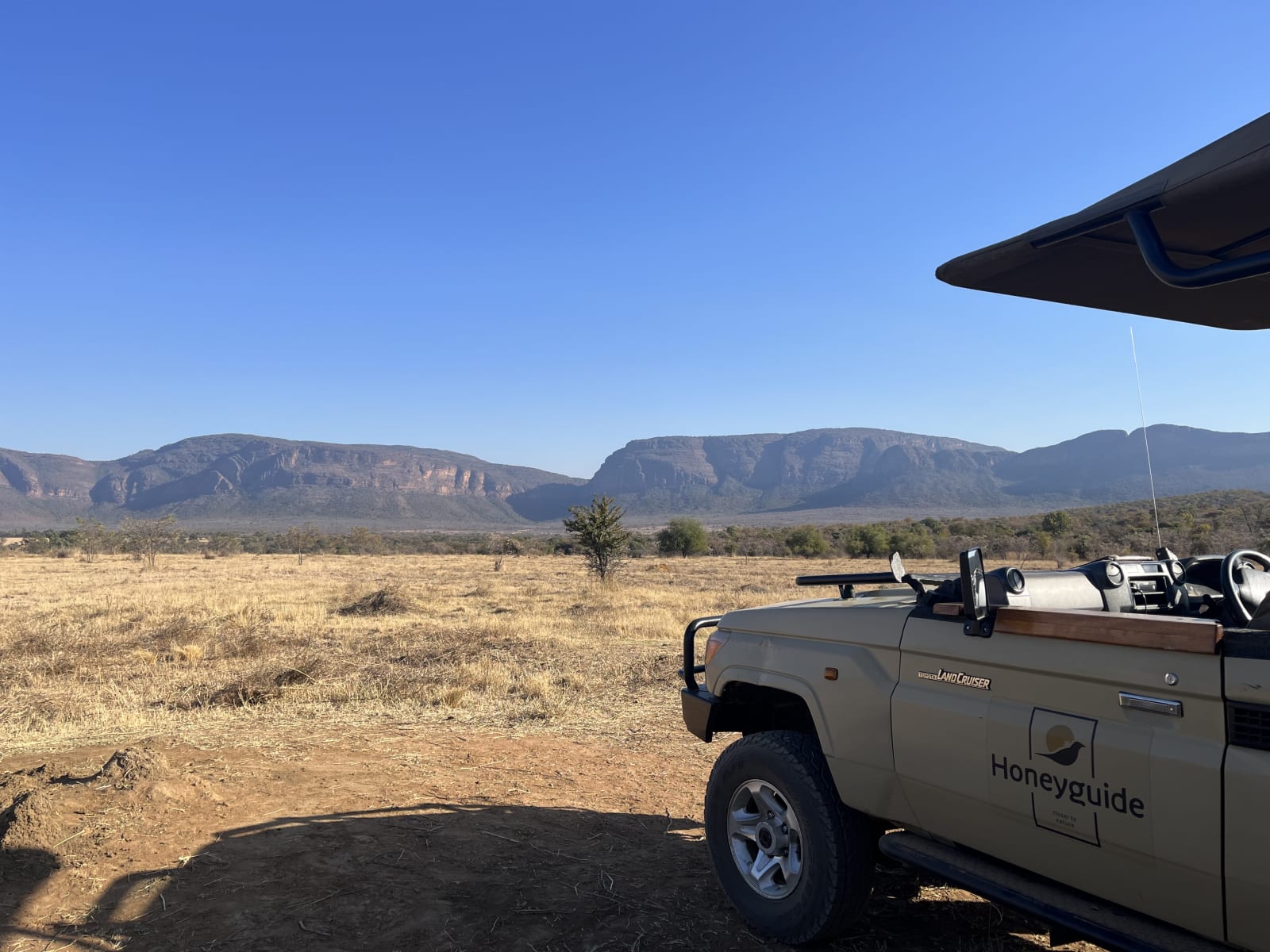 Safari in South Africa