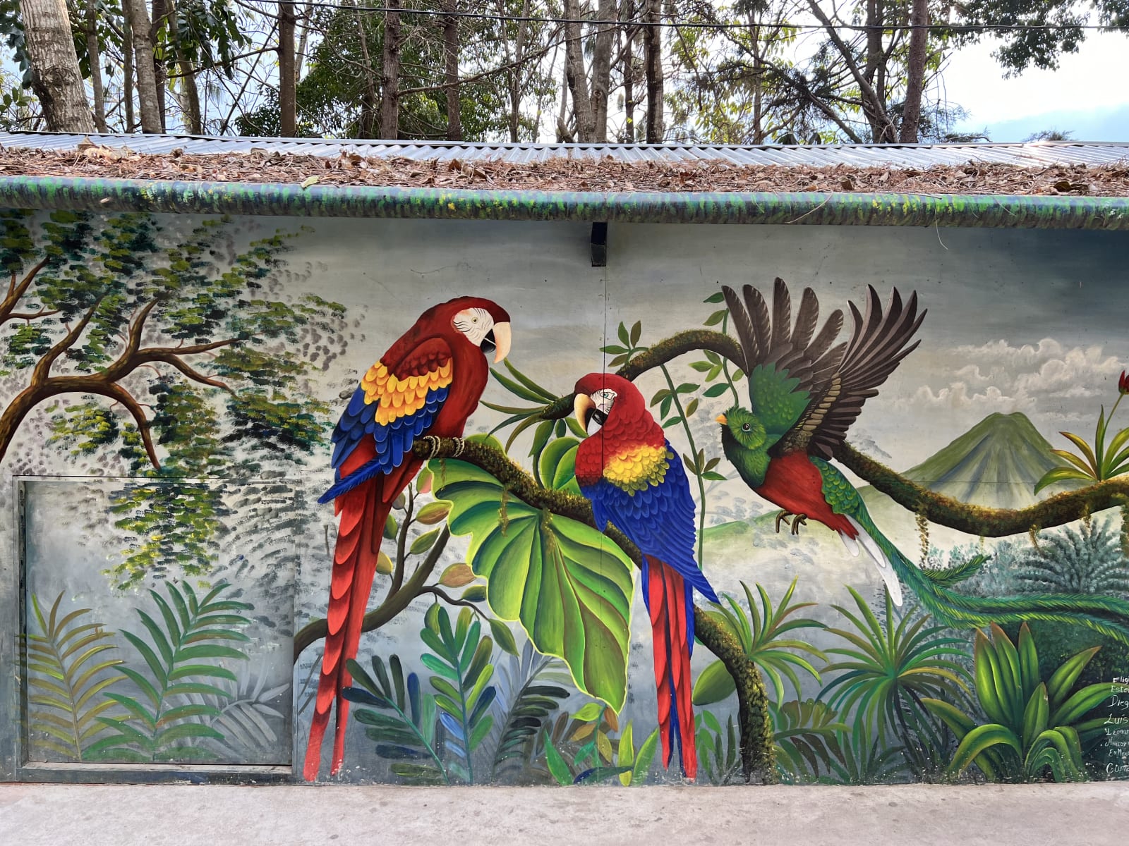 Five Days at Lake Atitlan, and Why I Stayed in Panajachel