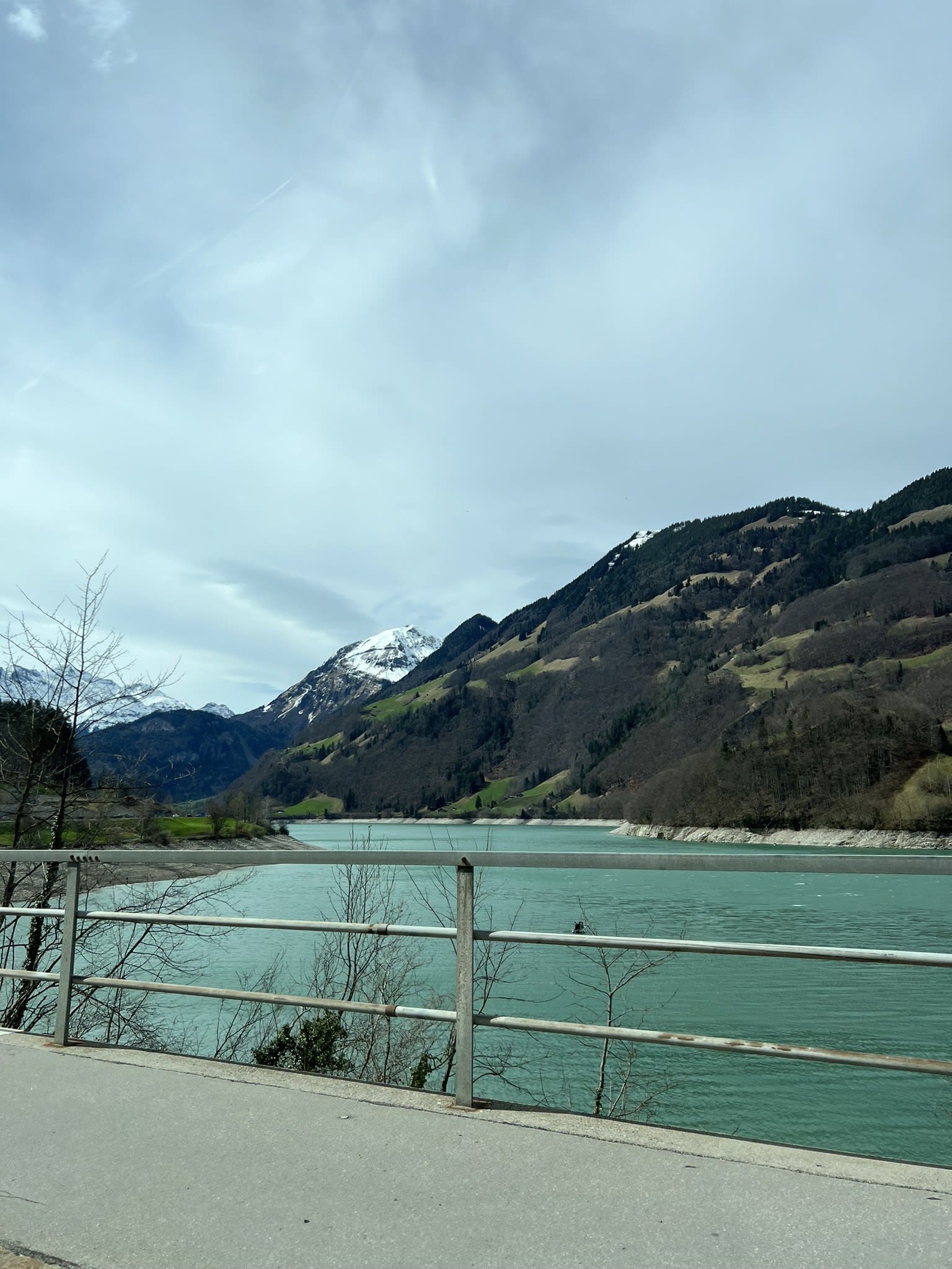 Zurich, the Bernese Oberland and the Rhine Falls
