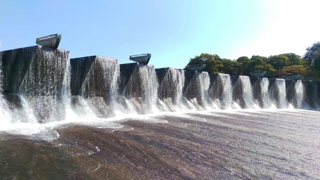 From Painting session at Malingunde Dam by Madalitso Mwaungulu
