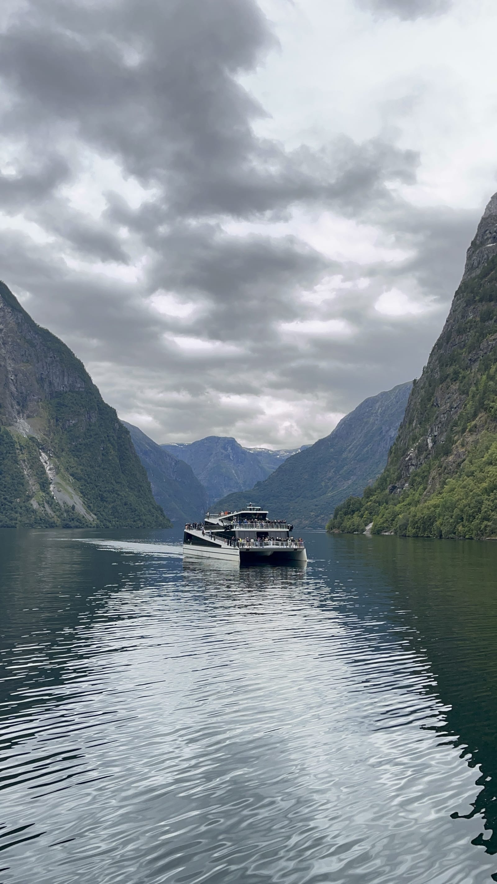 From Norwegian Fjord Cruising by Dan The Travelin' Man