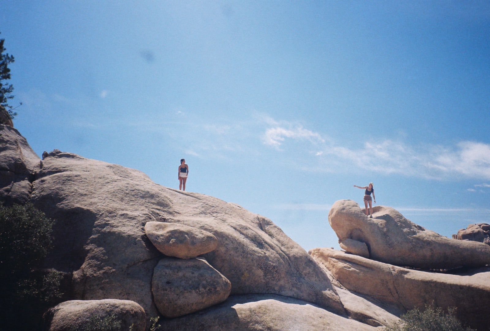 From Camping in Joshua Tree by Francesca Pezza