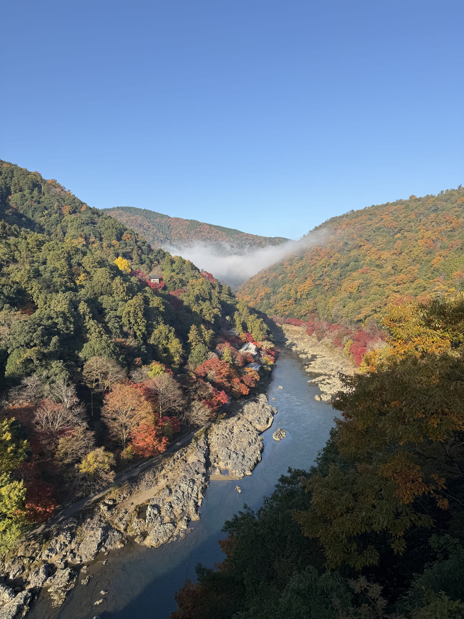 From 10 Days in Japan by Madi