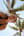 Avatar for kikistravel