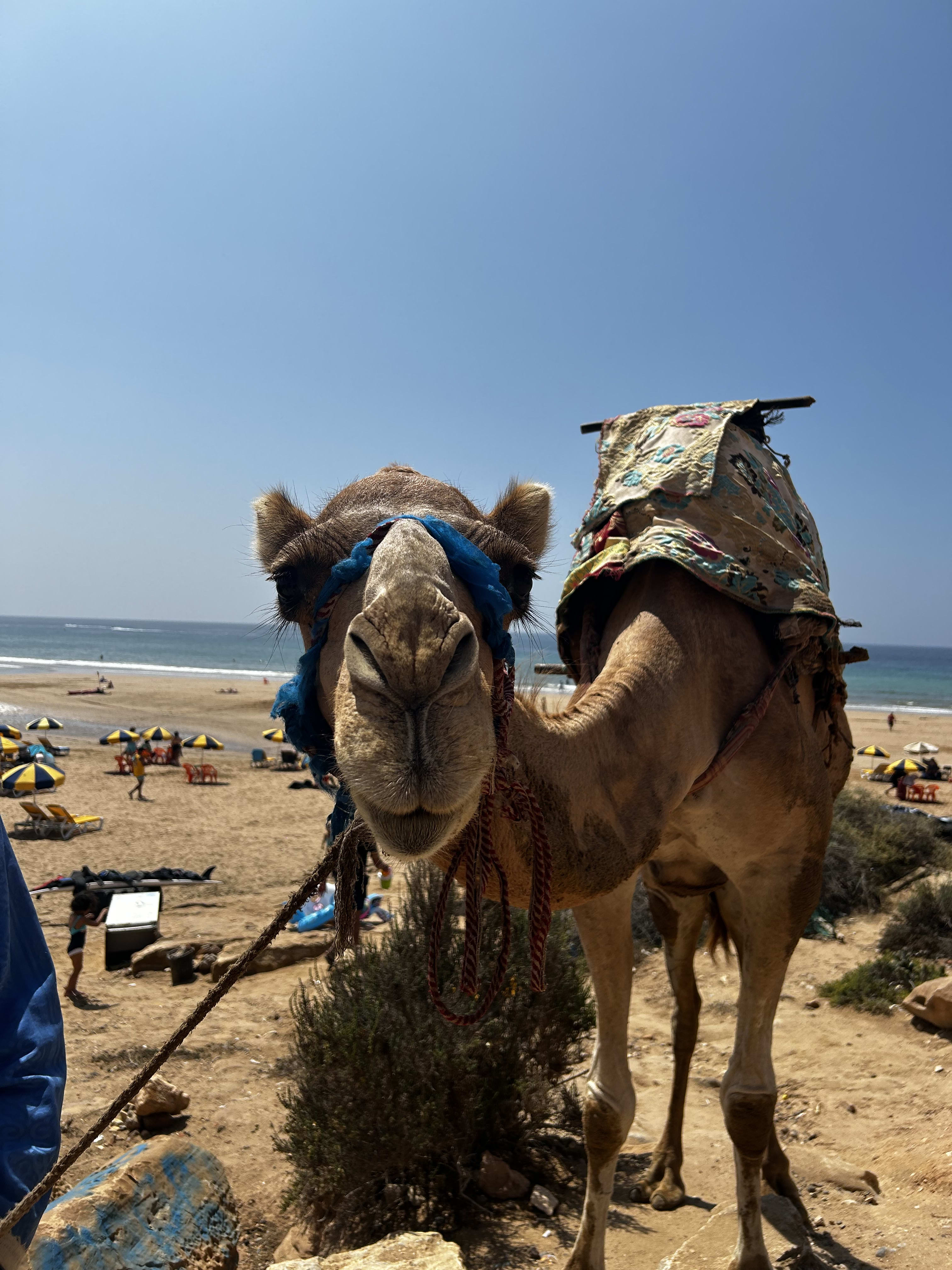 Morocco