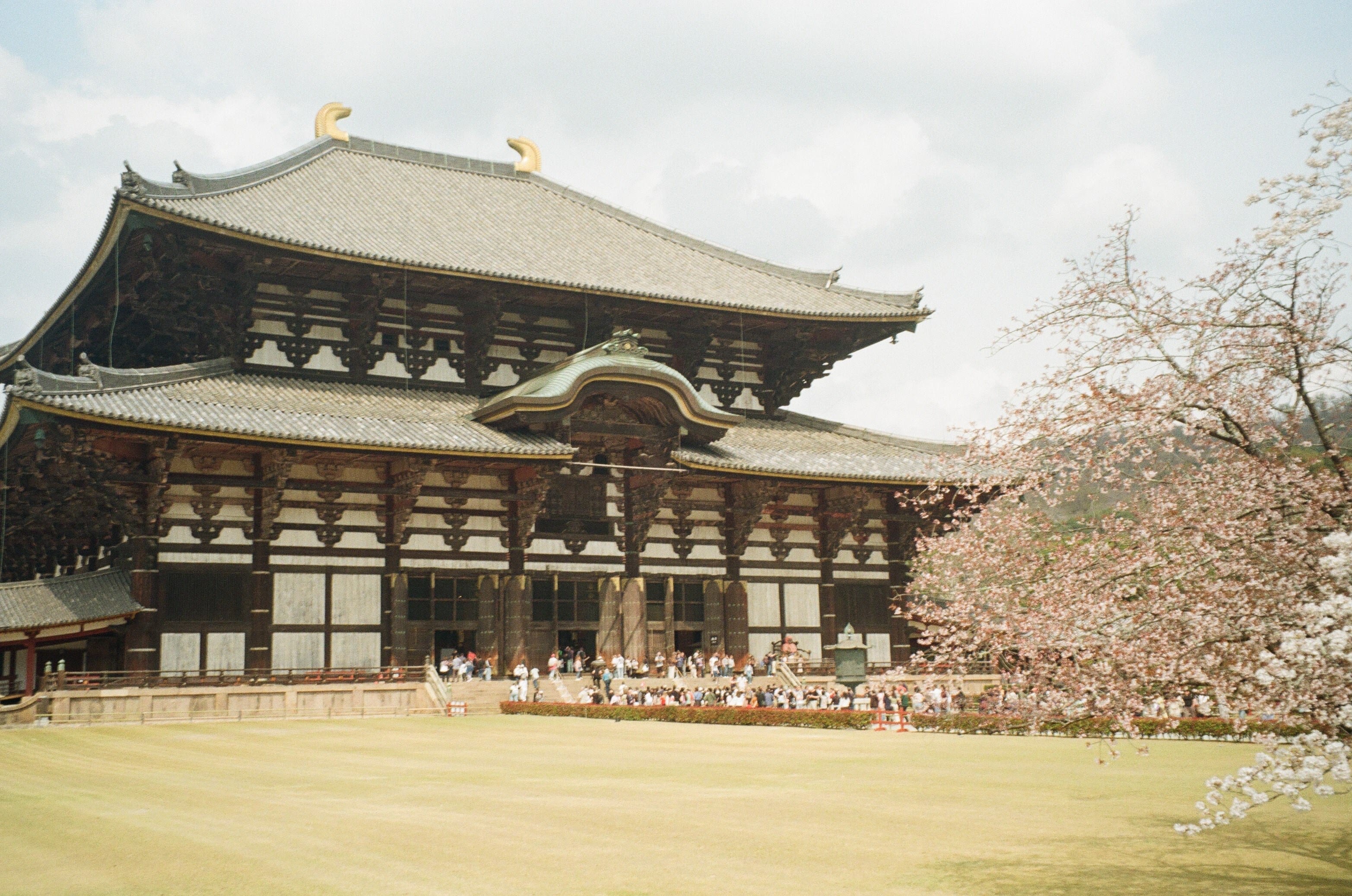 Two weeks in Japan!